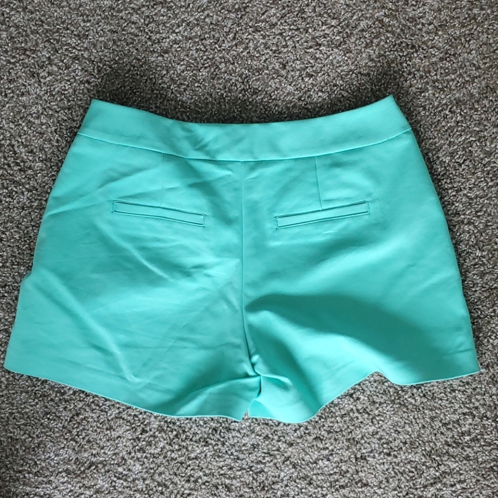 Elle Shorts - Picture 3 of 3